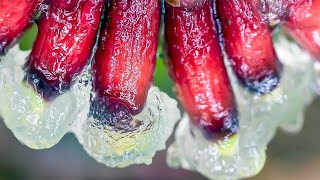Slime, Plastic-Eating Worms & Other Ways To Fix The World | Planet Fix | LIVE | BBC Earth Science