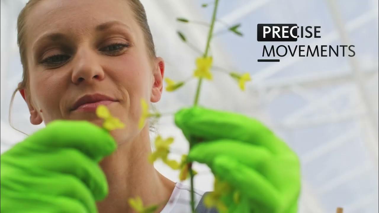 MERCATOR gogrip green gloves in the unique green colour YouTube