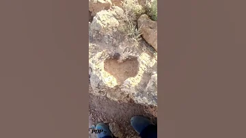 اشارة القلب من اتمن الاشارات 