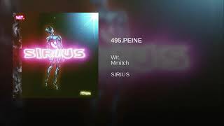 Wit. - 495 PEINE (ft. mmitch)