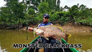 BLACKBASS TERBERSAR YANG PERNAH SAYA DAPAT CASTING,12KG !!!