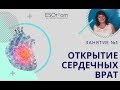 Занятие 1  Открытие сердечных Врат