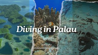 Diving in Palau | 8K HDR | Sony A1 | Keldan 24XR | Mavic 3