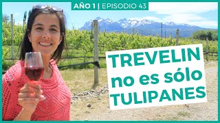 Qué hacer en ESQUEL y alrededores Trevelin y Parque Nacional LOS ALERCES |  #Argentina Ep.43
