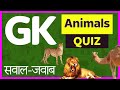 Gk | Quiz on Animals | सवाल जवाब | GK questions & Answers