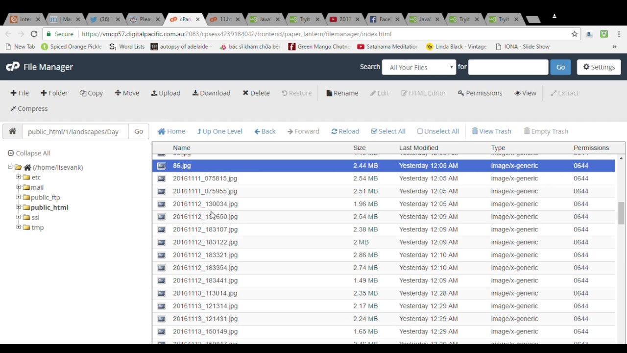 Cpanel File Manager V3