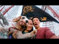 I took my dog on a DOG CRUISE in Singapore