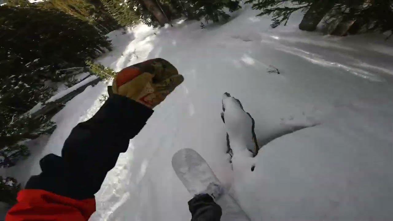 Breckenridge - Ballroom Trees - 3/2/26