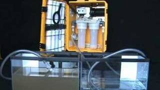 Seldon WaterBox cleaning a fish tank of water