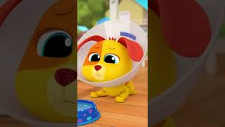 Bingo&#39;s Cone (Woof Woof Oh No) 🐶🚰 #littleangel #shorts #animals | Nursery Rhymes for Babies