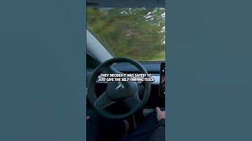 Driving A Tesla While Asleep (Gone Wrong)