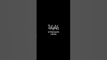 وما تدري نفس ماذا تكسب غدا وما تدري نفس بأي أرض تموت [لقمان: ٣٤] القارئ #نعمة_الحسان #كروما_قرآن