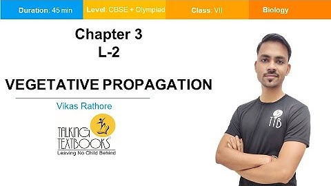 L-2 Reproduction In Plants Vegetative Propagation | Reproduction Class 7 | Vikas Rathore | TTB