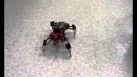 CATCAN Beagleboard xM- Android QUADRAPOD