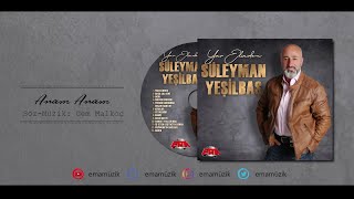 Süleyman Yeşilbaş - Anam Anam - (Yar Elinden / 2019 ) Resimi