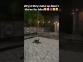 #womensbeachvolleyball #volleyball #howtohitavolleyball #beachvolleyball #howtoplayvolleyball