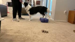 Shaping the Rear Foot Target