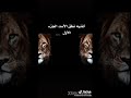 أغنية نطق الاسد روعة 