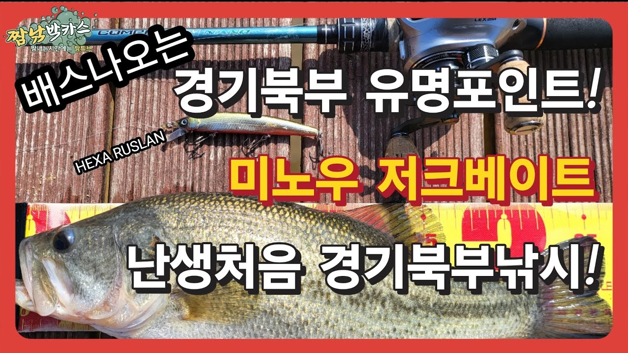 배스낚시 경기북부 유명포인트 냉정지!배스낚시 어렵다는 경기북부 첫 배스낚시! #미노우#저크베이트 #세븐메이커스 #셰일핀 #털보낚시 #배스낚시 #bassfishing #짬낚 #박카스