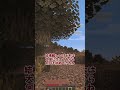 見たブロックが溶岩になる世界でダイヤチャレンジ！【マイクラ】【ゆっくり実況】#shorts #minecraft