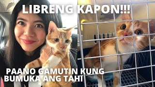 FREE Neuter Spay Kapon in Manila! + 6 IMPORTANT Things To Do Before & After Surgery