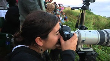 Maui in January - by Robby Swift and Heidy Clawson