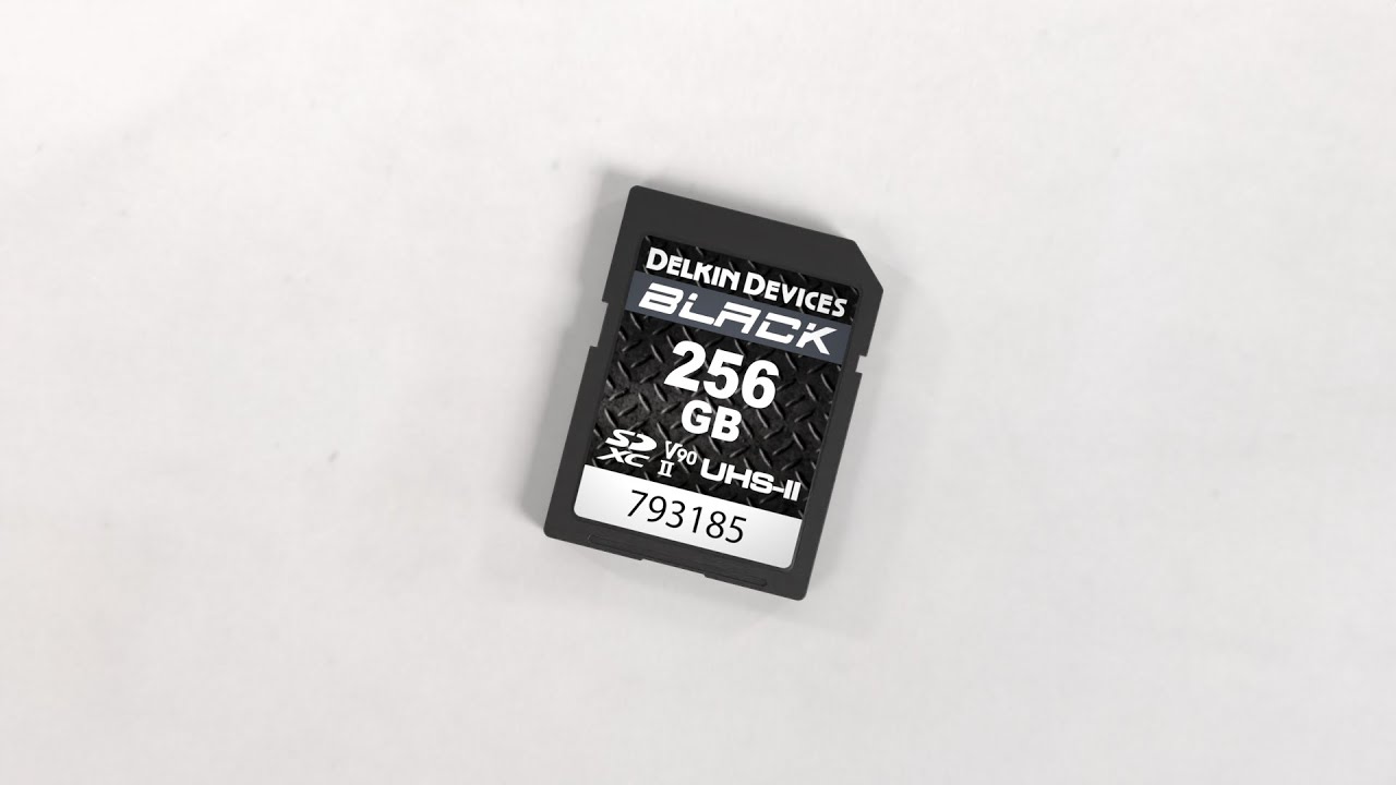 Delkin Devices 64GB Black UHS-II (U3/V90) SD Memory Cards (2PK) by Delkin  at B&C Camera