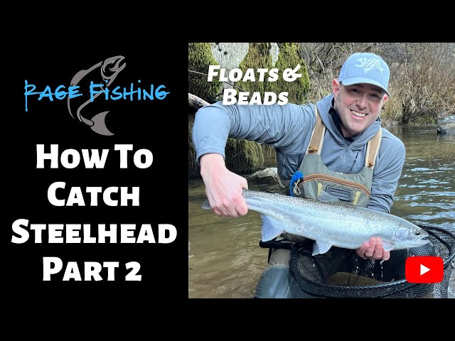 HOW TO CATCH STEELHEAD PART 2 - FLOATS AND BEADS - 4 part video series of  all my tips and tricks. 