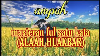 Masteran burung beo||ful satu kata||allah huakbar