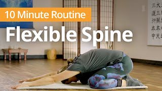 SPINE MOBILITY Exercises | 10 Minute Daily Routines