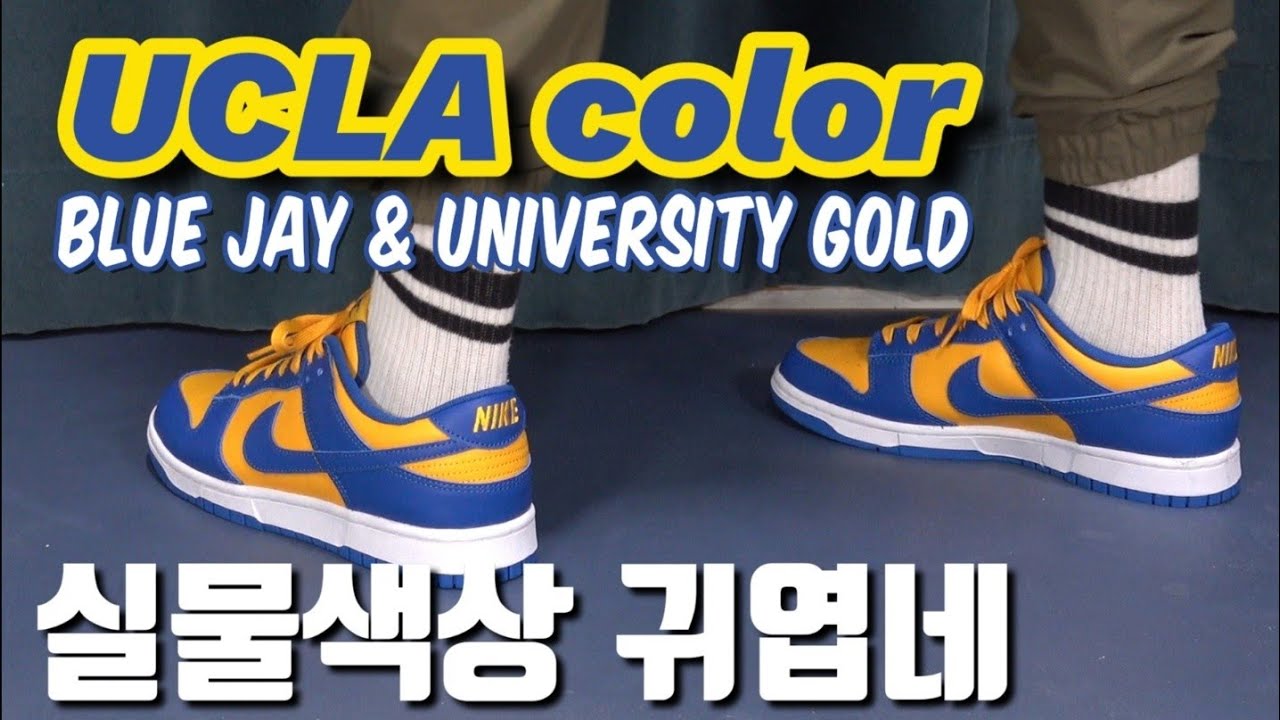 나이키 덩크로우 Retro Blue Jay and University Gold color(UCLA Dunk 