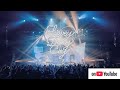 神はサイコロを振らない Hall Tour 2025 "Lovey Dovey City" on YouTube