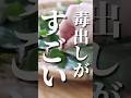 【最強の毒出し】ドクダミ茶作り#shorts