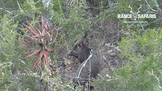 The Kei River Reserve