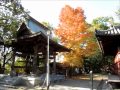 Shikoku 88 tempeltocht, deel 4: Ehime