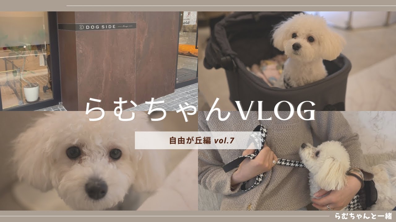 友人とらむちゃんとlunchしてきました🍽💕