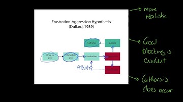 OCR A-niveau PE: Theorieën over agressie