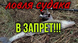 ЛОВЛЯ СУДАКА ВЕСНОЙ. РЫБАЛКА НА ДЖИГ С БЕРЕГА В ЗАПРЕТ!!!! ГДЕ ИСКАТЬ СУДАКА. РЫБАЛКА 2021