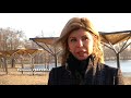 Евгения Уваркина желает построить крупнейший в Черноземье парк аттракционов