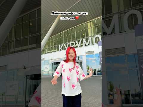 Слушай мой новый трек купи щеночка❤️Смотри мой клип⬆️скорее #shorts #юмор #ladymilana