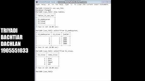 [Teknologi Basis Data]-Membuat dan Menjalankan Cursor di CMD