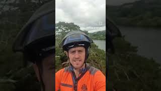 Removal of a HAZARDOUS 45m Dead Monterey Pine 🌲