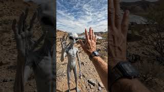 POV: You Just Discovered a Real Alien and It’s Still Moving #alien #extraterrestrial #firstcont