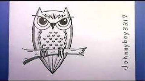 フクロウを簡単に描く方法