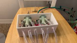 Controls Lab Final Project - TTU ME 4234 Wealth