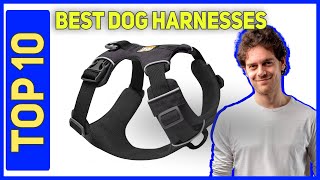 Best Dog Harnesses in 2023 [Top 10 Dog Harnesses]