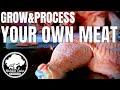 Easy Way to Process Chicken | Butcher YOUR OWN POULTRY at home