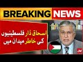 Ishaq Dar In Action For Palestine | OIC Conference 2024 | Breaking News