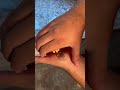 حقه اسرارآمیز دست کوچک