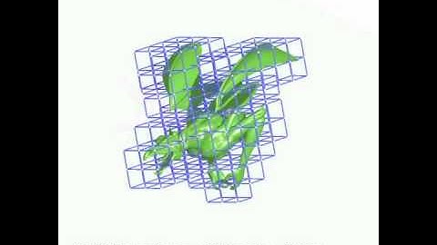 Accurate Interactive Animation of deformable models at arbitrary resolution.avi